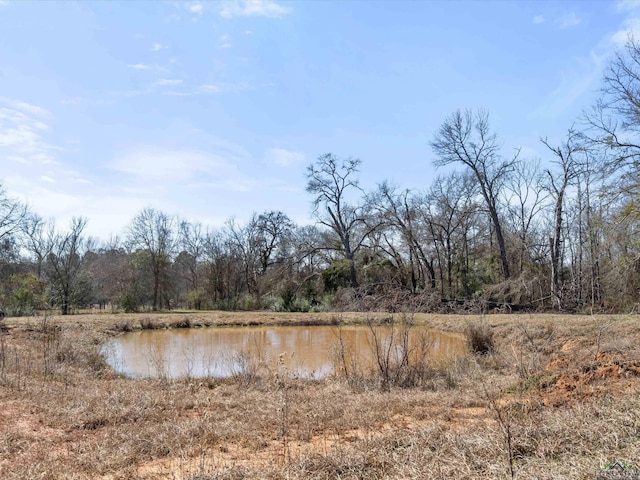 6826 Fm 2685, Gilmer, TX 75645 - photo 34