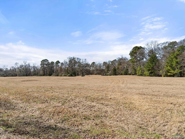 view of nature featuring a rural view