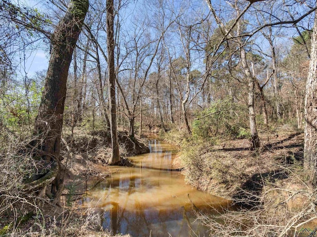 view of nature