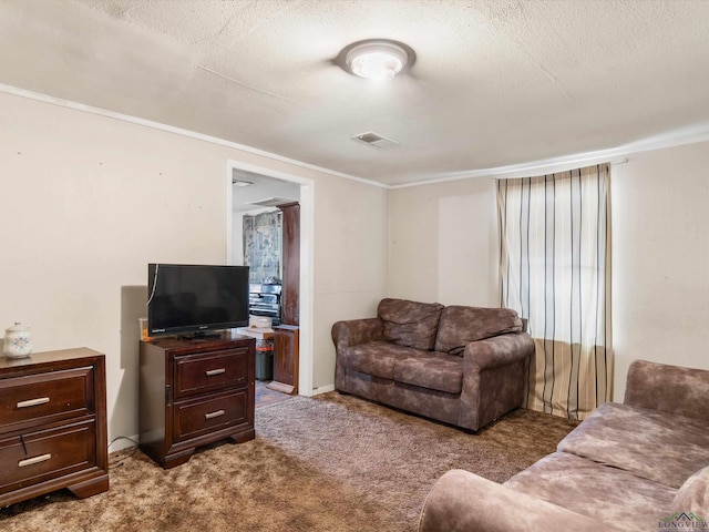 living room featuring light colored carpet and a textured ceiling