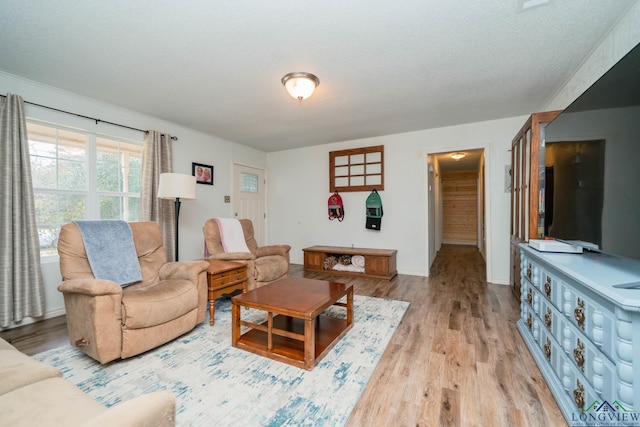 living room with a textured ceiling and light wood-type flooring