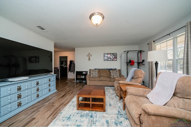 living room featuring wood-type flooring and a textured ceiling