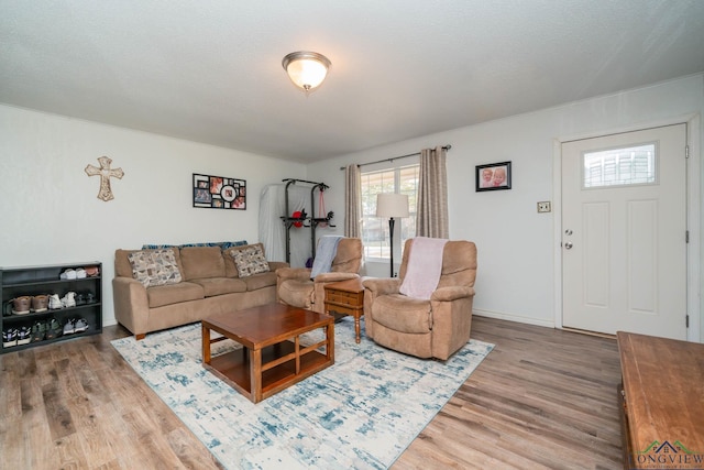 living room with a textured ceiling and hardwood / wood-style floors