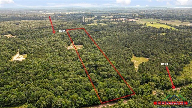 TBD Fm 10, Gary, TX 75643 - photo 2