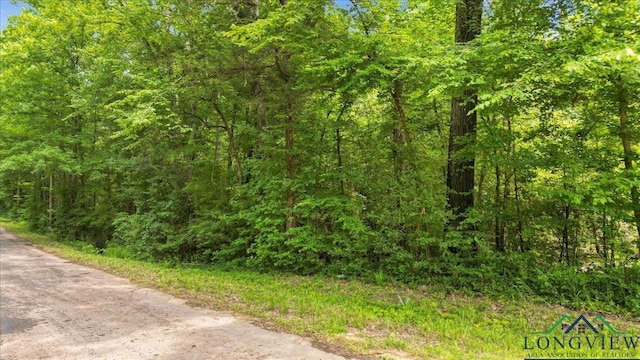TBD Fm 10, Gary, TX 75643 - photo 3