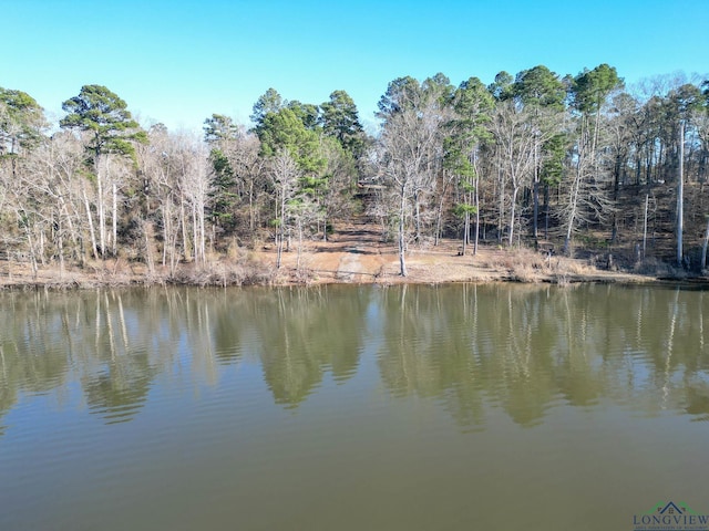 Listing photo 3 for TBD Dallas Loop, Avinger TX 75630