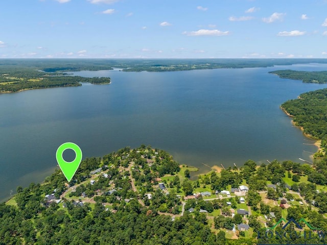 263 Crestwood Loop, Avinger, TX 75630 - aerial view of a large body of water