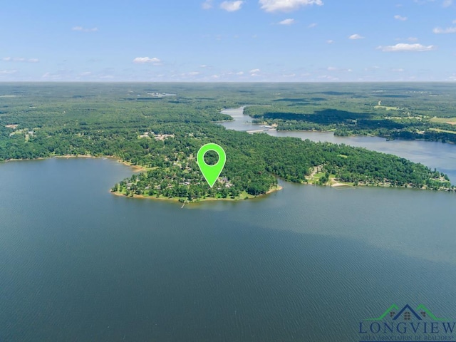 263 Crestwood Loop, Avinger, TX 75630 - drone / aerial view of a large body of water and a forest