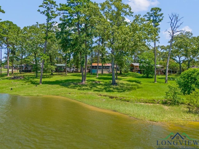 263 Crestwood Loop, Avinger, TX 75630 - surrounding community with a water view