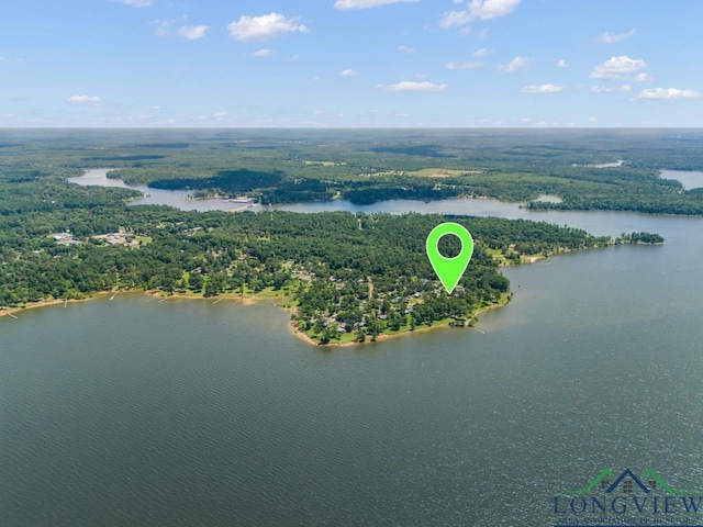 263 Crestwood Loop, Avinger, TX 75630 - aerial view of a large body of water and a heavily wooded area