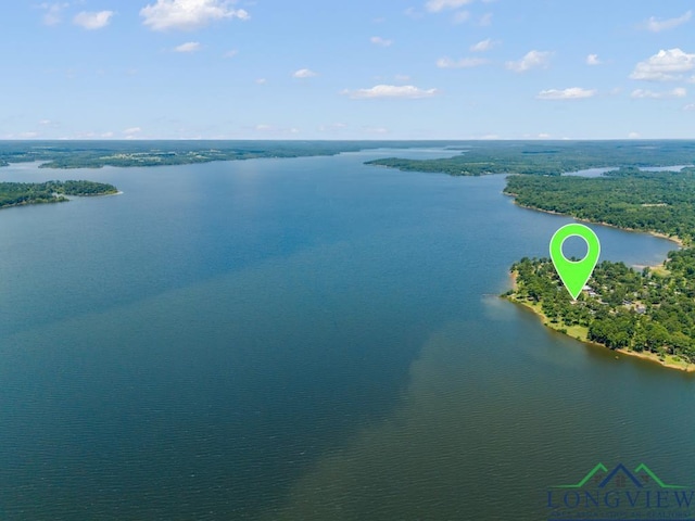 263 Crestwood Loop, Avinger, TX 75630 - bird's eye view of a nearby body of water