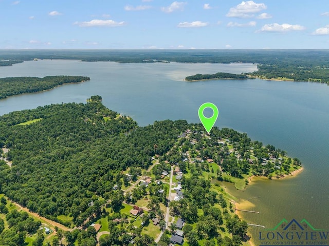 263 Crestwood Loop, Avinger, TX 75630 - aerial view of a large body of water