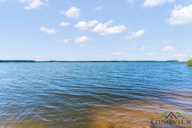 263 Crestwood Loop, Avinger, TX 75630 - water view