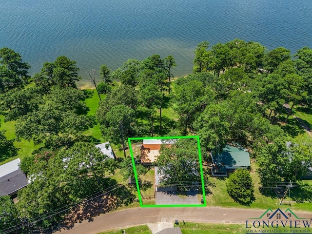 263 Crestwood Loop, Avinger, TX 75630 - aerial overview of property's location with a large body of water and property boundaries highlighted