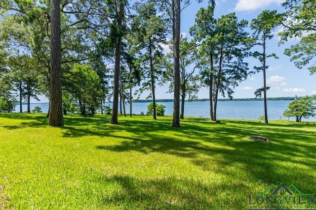 263 Crestwood Loop, Avinger, TX 75630 - view of green lawn with a water view