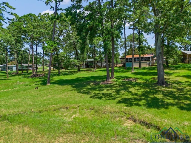 263 Crestwood Loop, Avinger, TX 75630 - view of green lawn