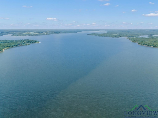 263 Crestwood Loop, Avinger, TX 75630 - drone / aerial view of a large body of water