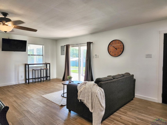 living room with ceiling fan and hardwood / wood-style floors