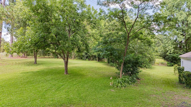 2314 Shell Cp, Gladewater, TX 75647 - photo 24