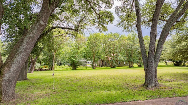 2314 Shell Cp, Gladewater, TX 75647 - photo 23