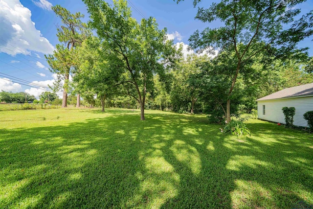 2314 Shell Cp, Gladewater, TX 75647 - photo 31