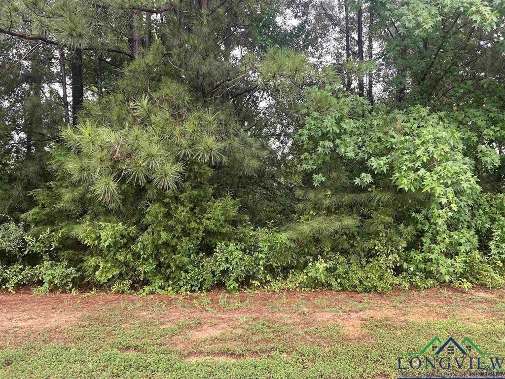208 Post Oak, Marshall, TX 75672