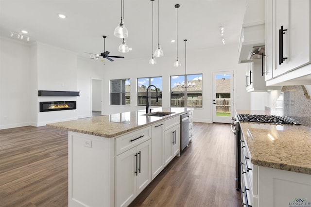 111 Mia Ln, Longview, TX 75604 - kitchen featuring a sink, appliances with stainless steel finishes, ceiling fan, a glass covered fireplace, and wood finished floors