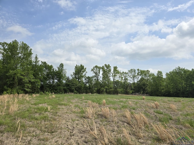 TBD Cr 4214, Naples, TX 75568 - photo 12