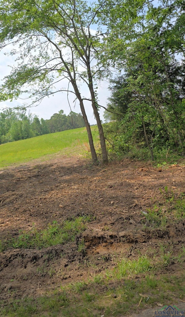 TBD Cr 4214, Naples, TX 75568 - photo 3