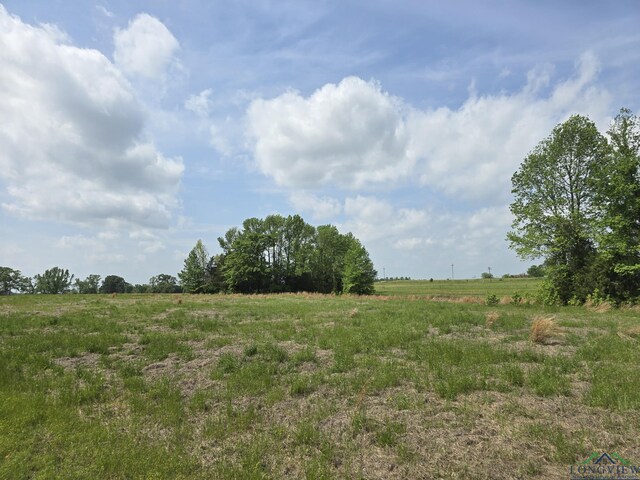 TBD Cr 4214, Naples, TX 75568 - photo 7