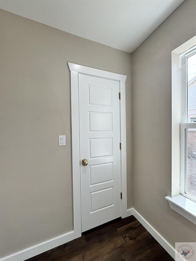 interior space with baseboards, dark wood-type flooring, and a wealth of natural light