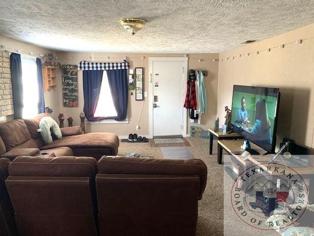 3812 Elizabeth St, Texarkana, TX 75501 - living area with a textured ceiling and carpet