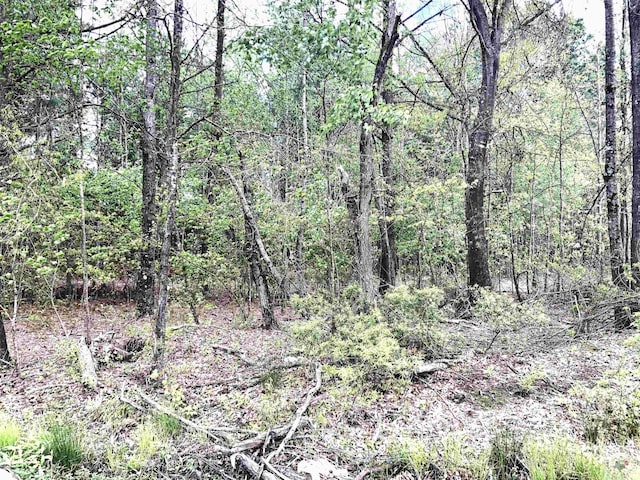 Listing photo 3 for TBD Findley, Texarkana TX 75501