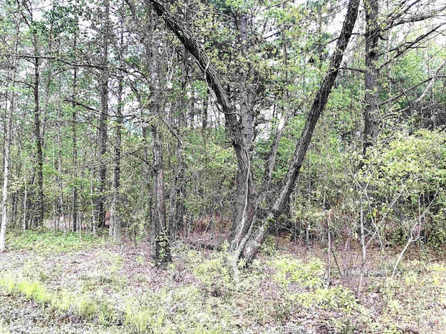 Listing photo 2 for TBD Findley, Texarkana TX 75501