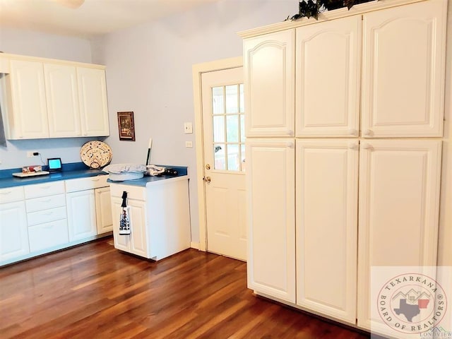 kitchen with dark hardwood / wood-style floors