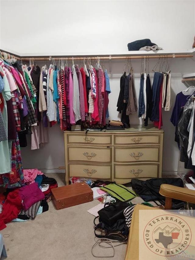 spacious closet featuring carpet