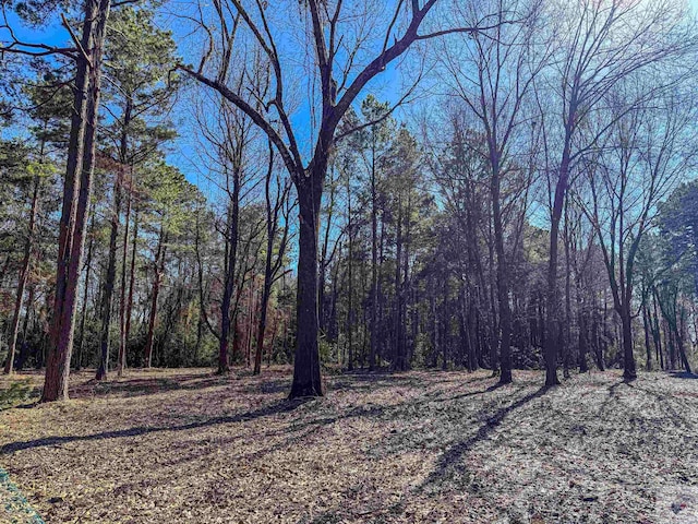 TBD Old Blackman Ferry Rd, Texarkana AR, 71854 land for sale