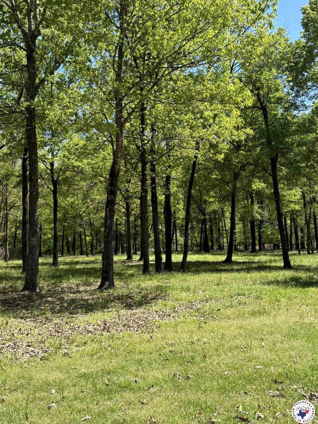 5 River Plantation, Texarkana, TX 75503