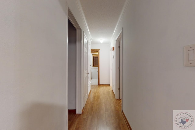 corridor featuring crown molding, light hardwood / wood-style flooring, and a textured ceiling