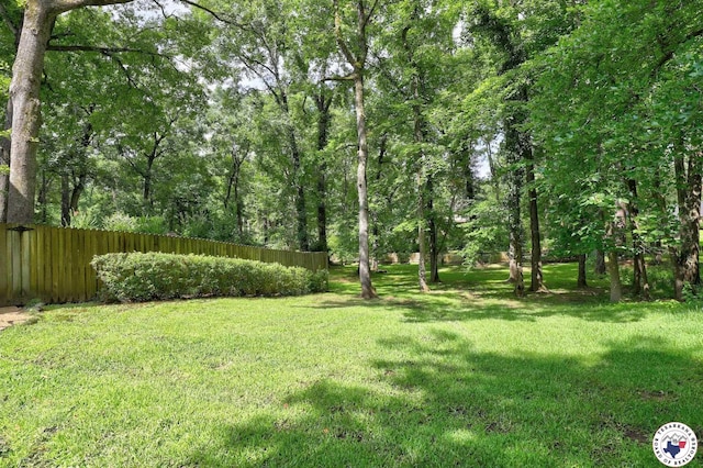 21 Holly Ridge Dr, Texarkana, TX 75503 - view of yard