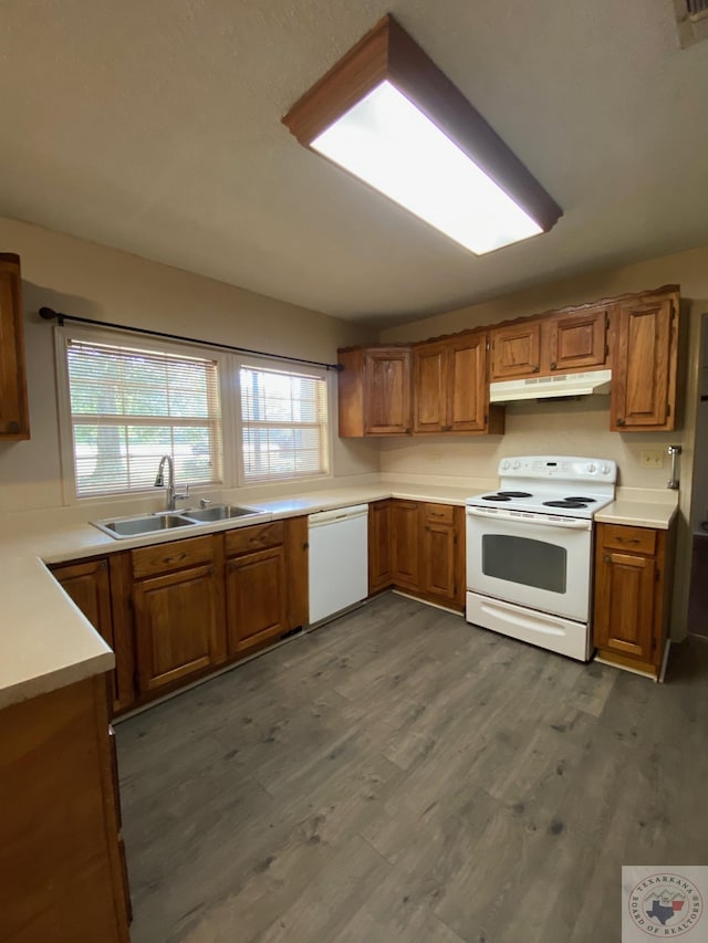 kitchen featuring sink, white appliances, and dark hardwood / wood-style flooring