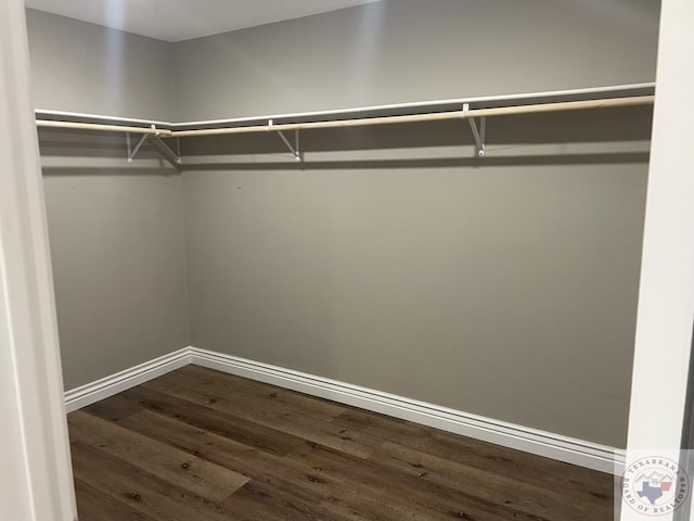 spacious closet featuring wood-type flooring