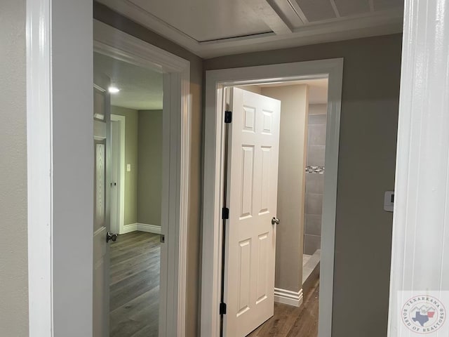 corridor featuring dark hardwood / wood-style floors