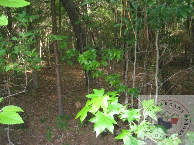 Listing photo 3 for TBD Turk Rd, Texarkana AR 71854