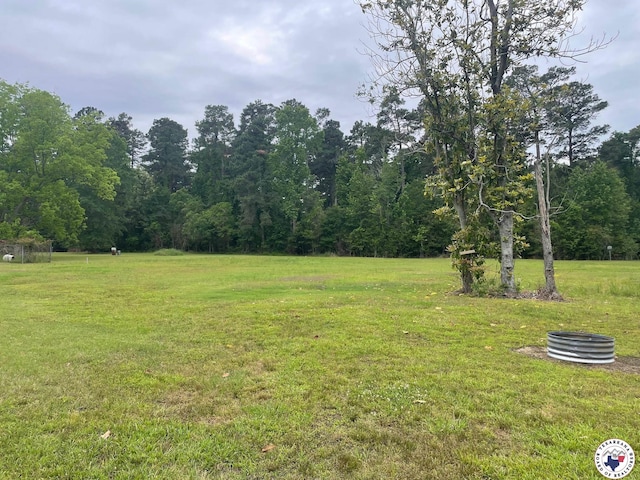 24075 US Highway 59 N, Queen City, TX 75551 - view of grassy yard with a wooded view