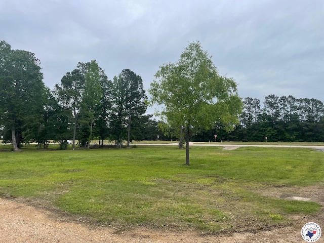 24075 US Highway 59 N, Queen City, TX 75551 - view of yard