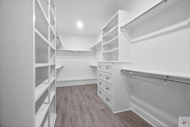 spacious closet featuring wood finished floors