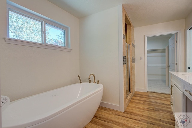 bathroom with wood-type flooring, plus walk in shower, and vanity