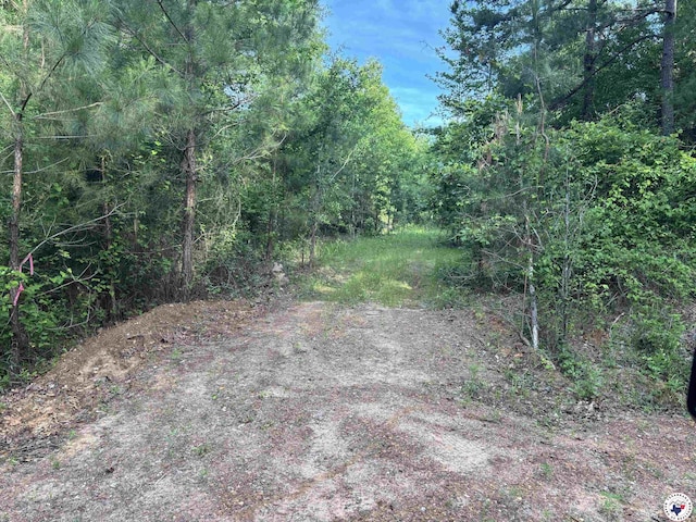 TBD Willie Reed Rd, Jefferson, TX 75657