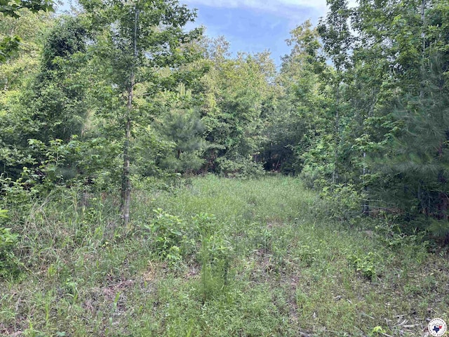 TBD Willie Reed Rd, Jefferson, TX 75657